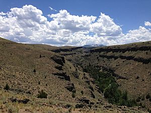 2013-06-28 14 15 57 View south up the East Fork Jarbidge River Canyon near Murphy's Hot Springs in Idaho