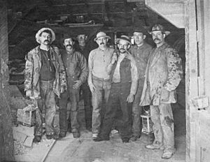 Comstock miners