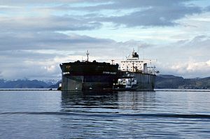 Exxon Valdez Oil Spill (13266806523)