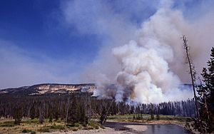 Fire above Snake River