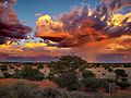 Gewitter in der Kalahari