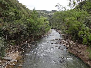 Rio Moniquira