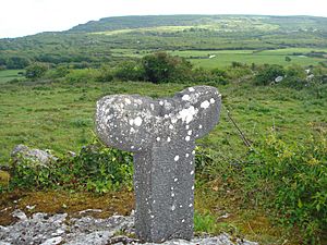 Tau Cross, Roughan Hill, Corofin, County Clare, Ireland