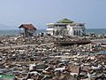 Aceh 2004 tsunami standing mosque USGS