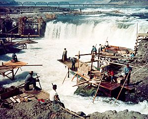 Corps-engineers-archives celilo falls color