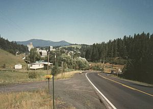View towards Kendrick, 1991