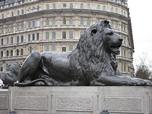 Lion-nelson-column-trafalgar-london-uk