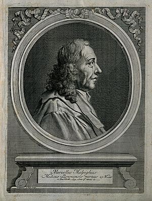 Marcello Malpighi. Line engraving by J. Kip, 1697. Wellcome V0003805