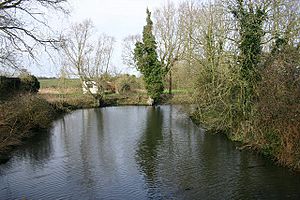 Moat of Westhorpe Hall - geograph.org.uk - 339633