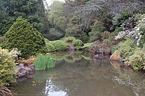 Pond at Kubota Garden in Seattle Washington