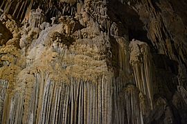 Shasta Caverns11