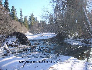 Taylor Creek Dam site, 12-12-13