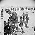 The British Army in North Africa 1942 E14621
