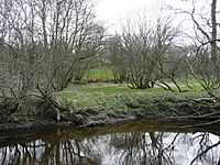 The remains of Trabboch mill - geograph.org.uk - 728888
