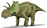 Albertaceratops BW