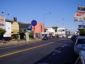 Munro commercial center on Avenida Mitre