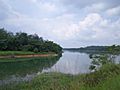 Durian Tunggal Reservoir