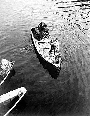 Gillnetters containing bait herring, Tee Harbor, Alaska, June 25, 1907 (COBB 203)