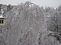 Ice storm in moscow