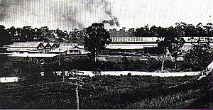 Meadowbank Manufacturing Company workshops 1922