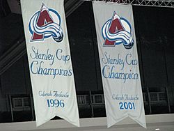 Pepsi Center Banner.jpg