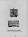 Photographs, with captions, of potato agriculture at Duckwater, Nevada, from Carson Agency Annual Report of Extension... - NARA - 296182