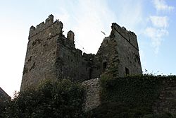 Portaferry Castle (03), October 2009
