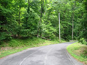 Looking east along Tumble Falls Road from Route 29