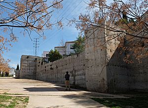 Albaicin walls DSCF1968