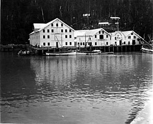 Cannery of the Carlisle Packing Co, Cordova, Alaska, August 1917 (COBB 106)
