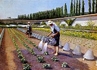 G. Caillebotte - Les jardiniers