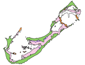 NOAA Ocean Explorer Bermuda Geologic Map