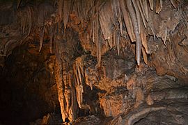Shasta Caverns2