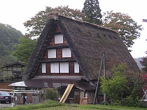 Shirakawago Japanese Old Village 001