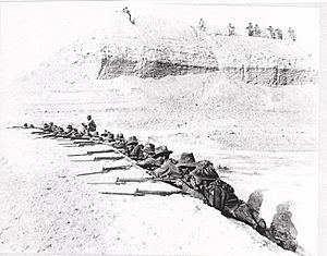 5th Light Horse Regiment 1918