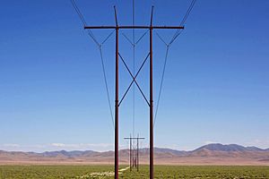 A342, Crescent Valley, Nevada, USA, utility poles, 2011