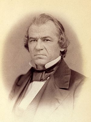 Andrew Johnson by Vannerson, 1859