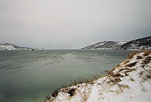 Buchta Nagajewa (Magadan)