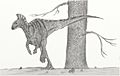 DryosaurusNV