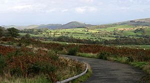 Near the Stiperstones - geograph.org.uk - 271559