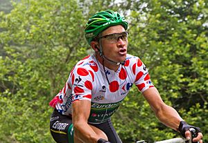 Tour de France 2012, voeckler (14869545572)