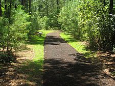 Trail around Moore Creek Battlefield IMG 4477