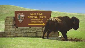 A556, Wind Cave National Park, South Dakota, USA, 2001