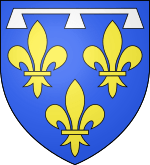 Blason duche fr Orleans (moderne)