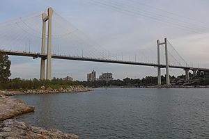 Bridge of Chalcis, Euboea (3)