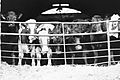 Dl23tx denton livestock 1990