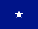 Flag of a United States Air Force brigadier general