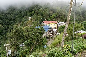 Fog hangs over the village of Section in the Blue Mountains of Portland Parish, Jamaica
