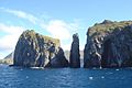 Gough and Inaccessible Islands-113067