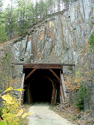 Mickelson Trail Tunnel